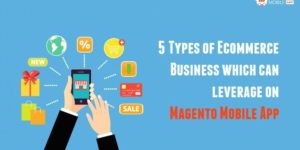 5 Types of Ecommerce Business which can leverage on Magento Mobile App